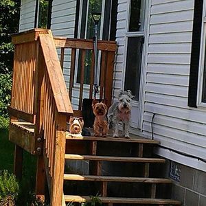 Meet your Posher, Andy